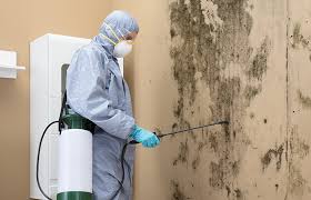 Best Residential Mold Inspection & Testing  in Speedway, IN